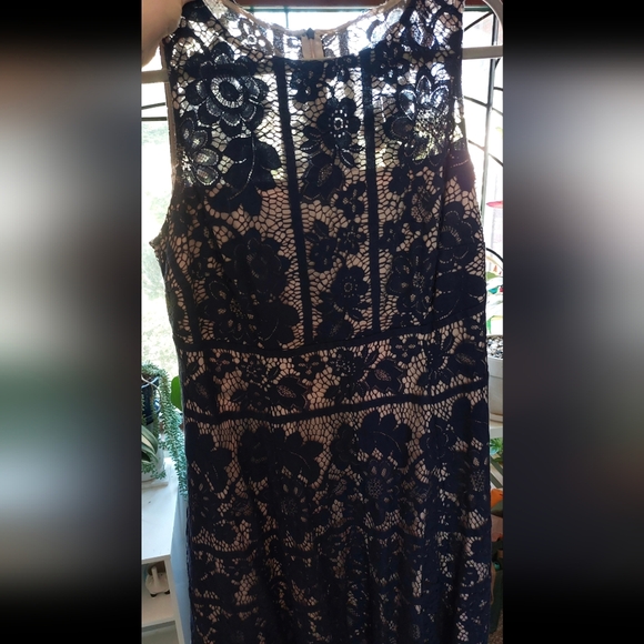 London Times Women's Plus Size (16W) Flower Bloom Lace Fit and Flare Dress - Picture 14 of 15